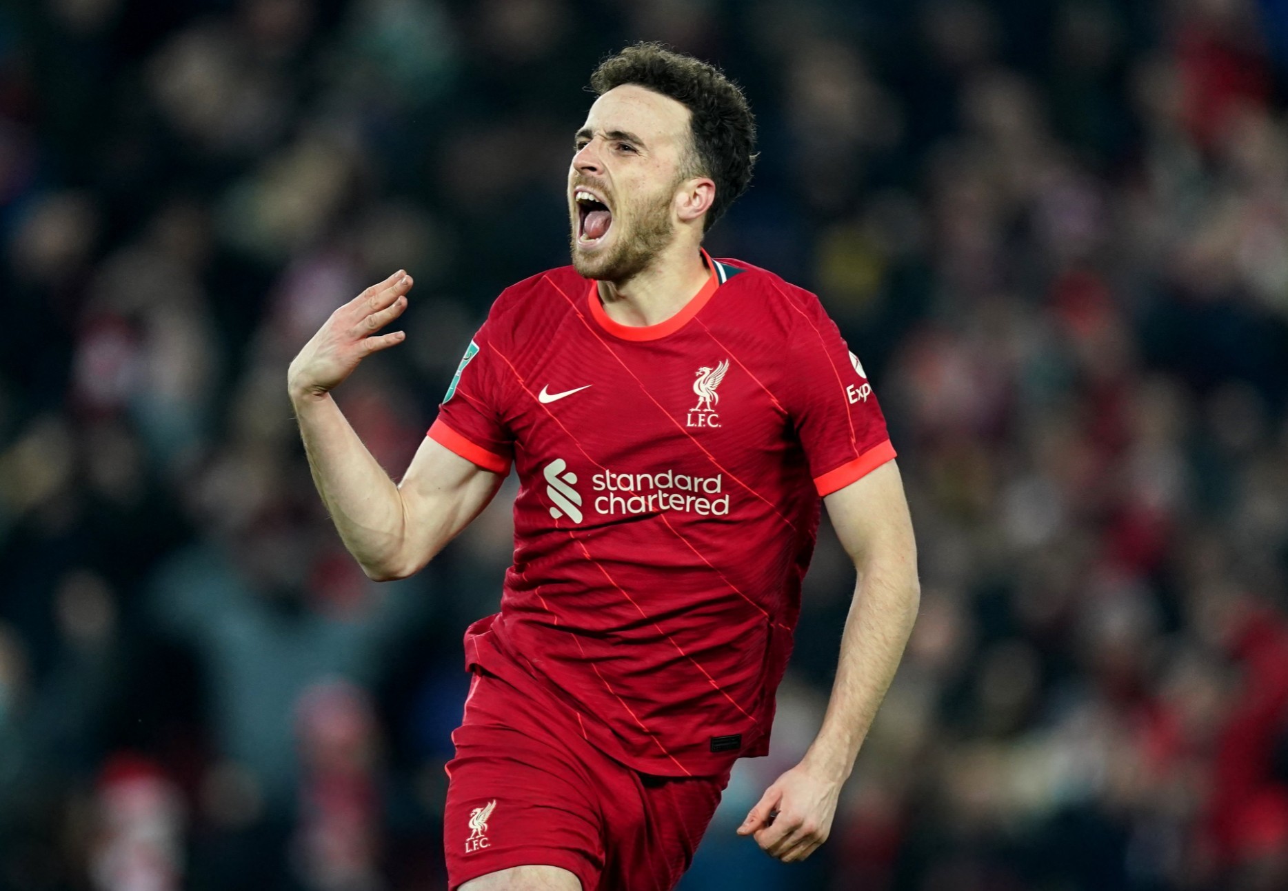 多米体育 -利物浦英超梗